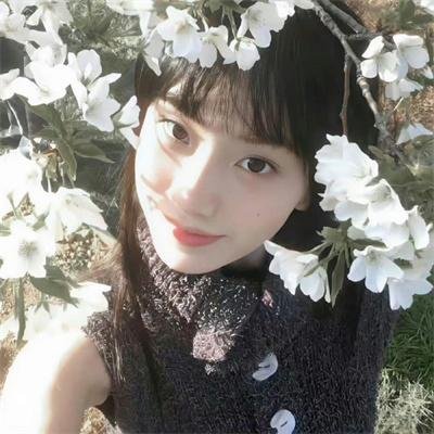 不安分的狗