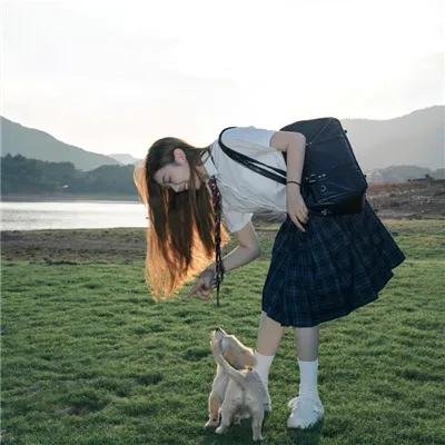 犬之力